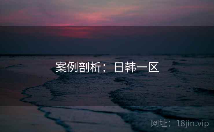 案例剖析：日韩一区
