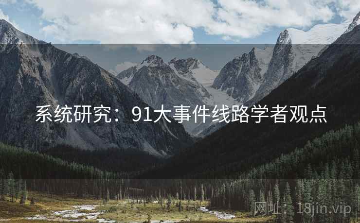 系统研究：91大事件线路学者观点
