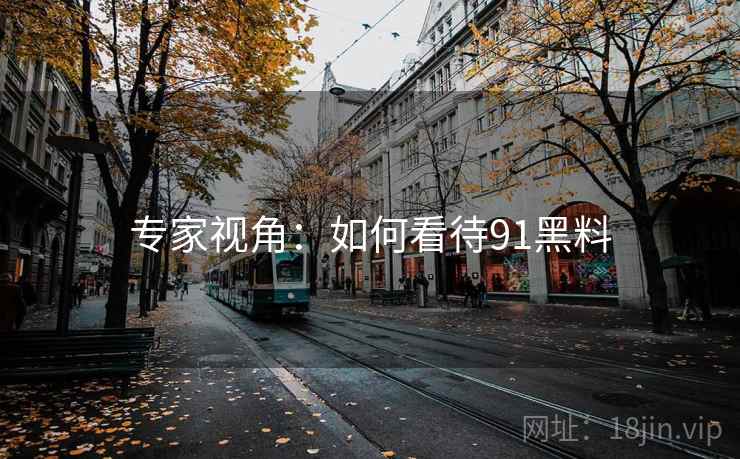专家视角：如何看待91黑料