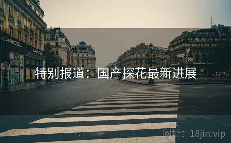 特别报道：国产探花最新进展