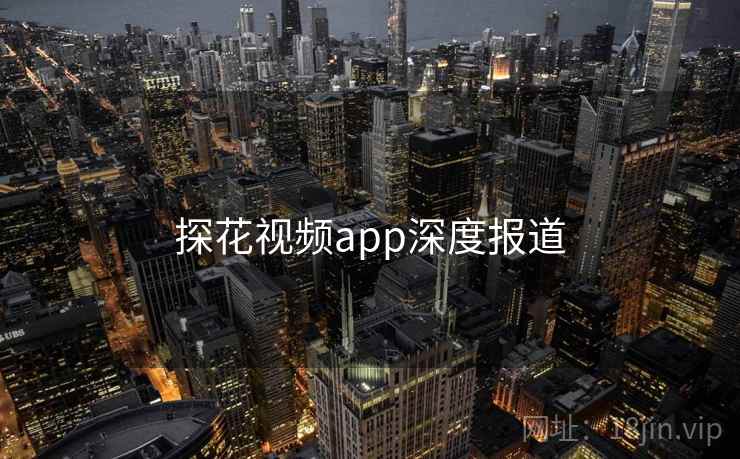 探花视频app深度报道