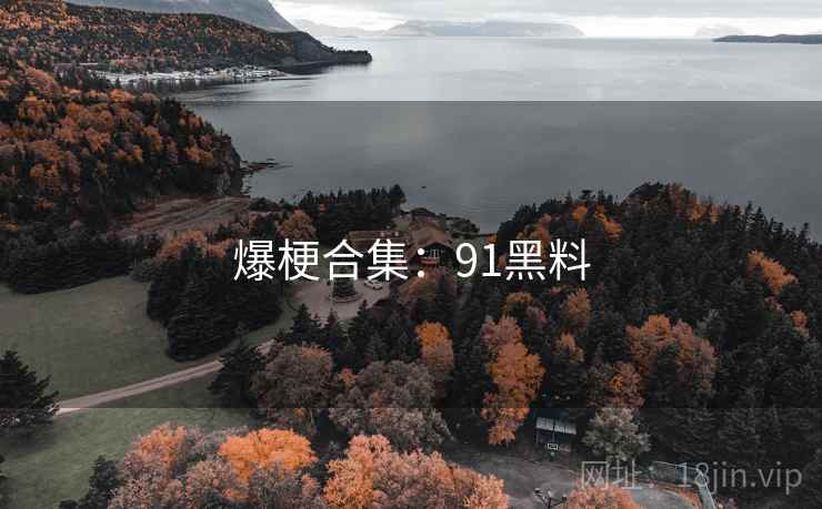 爆梗合集：91黑料  第2张
