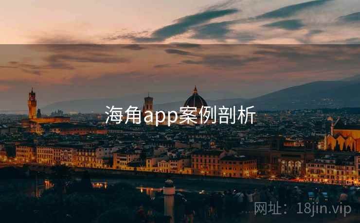 海角app案例剖析  第5张