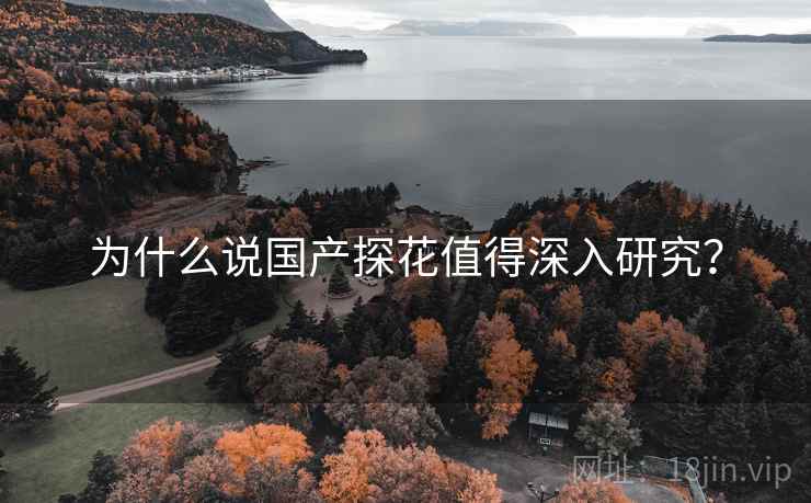 为什么说国产探花值得深入研究？