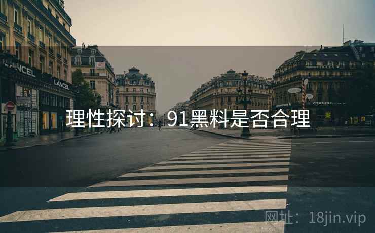 理性探讨：91黑料是否合理