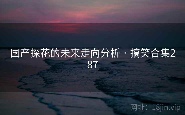国产探花的未来走向分析 · 搞笑合集287