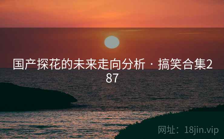 国产探花的未来走向分析 · 搞笑合集287