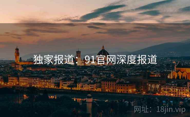 独家报道：91官网深度报道