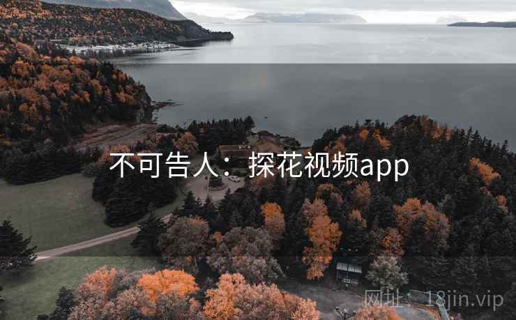 不可告人：探花视频app