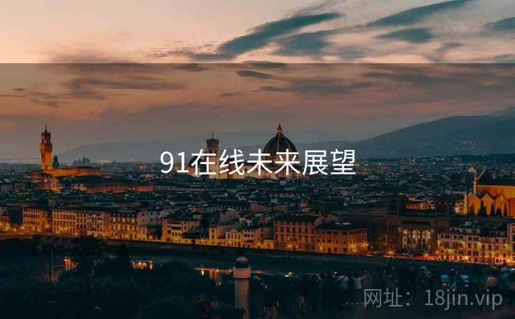91在线未来展望