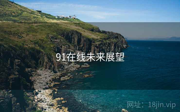 91在线未来展望
