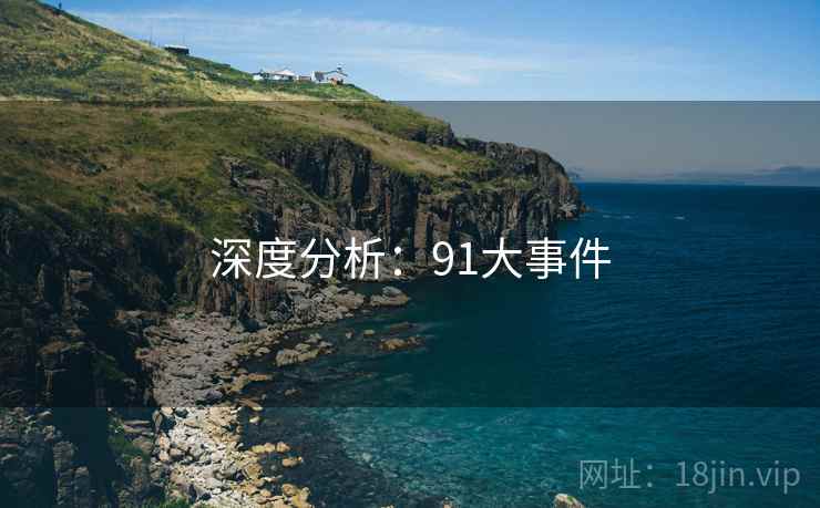 深度分析：91大事件