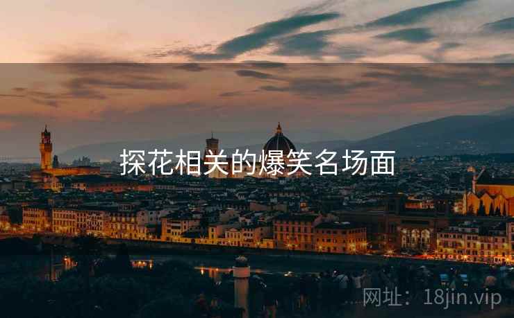 探花相关的爆笑名场面