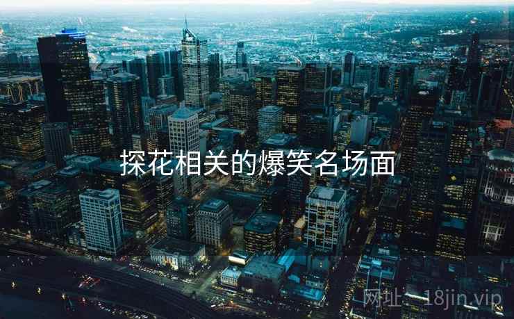 探花相关的爆笑名场面