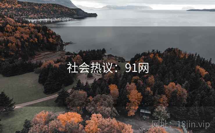 社会热议：91网