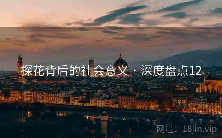 探花背后的社会意义 · 深度盘点12