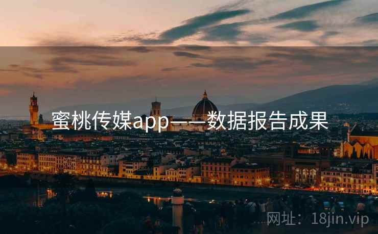 蜜桃传媒app——数据报告成果