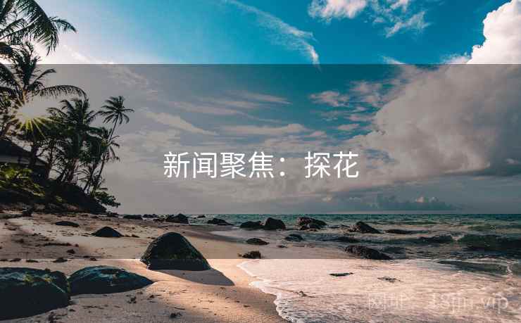 新闻聚焦：探花
