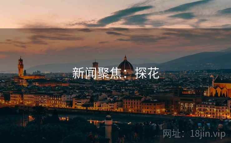 新闻聚焦：探花