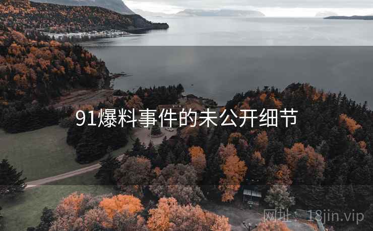 91爆料事件的未公开细节