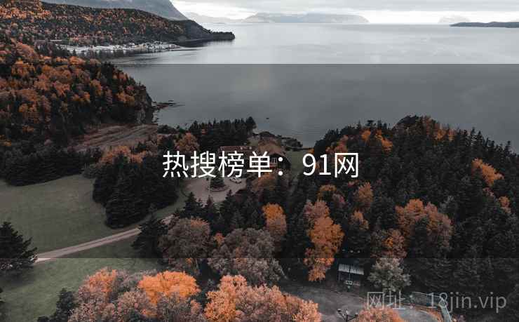 热搜榜单：91网