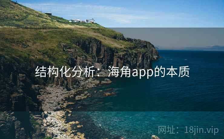 结构化分析:海角app的本质