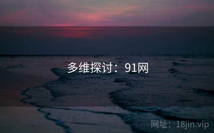 多维探讨:91网